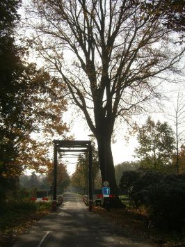 Griendtsveen : Ericaweg, Ziehbrücke, Herbstimpressionen